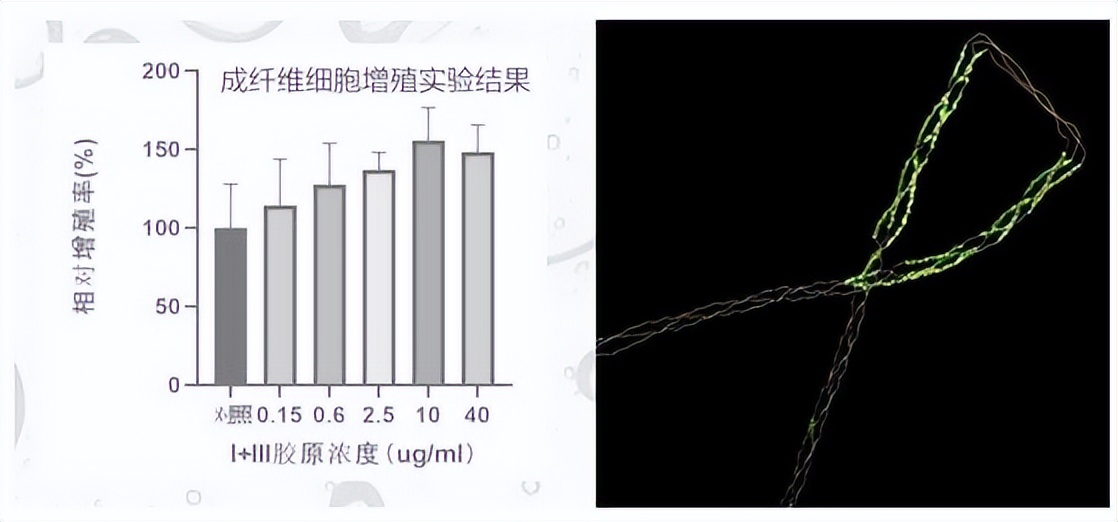 618特别洞察,丸美的品牌力正经历蝶变