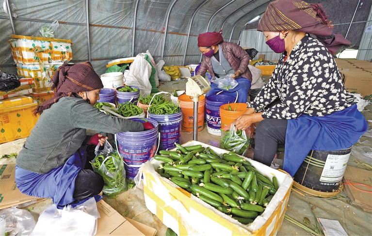 发展农村电商助推产业兴旺,电商赋能产业助力乡村振兴