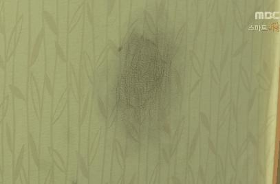 白墙泥点怎么去除,白墙钉子修补方法