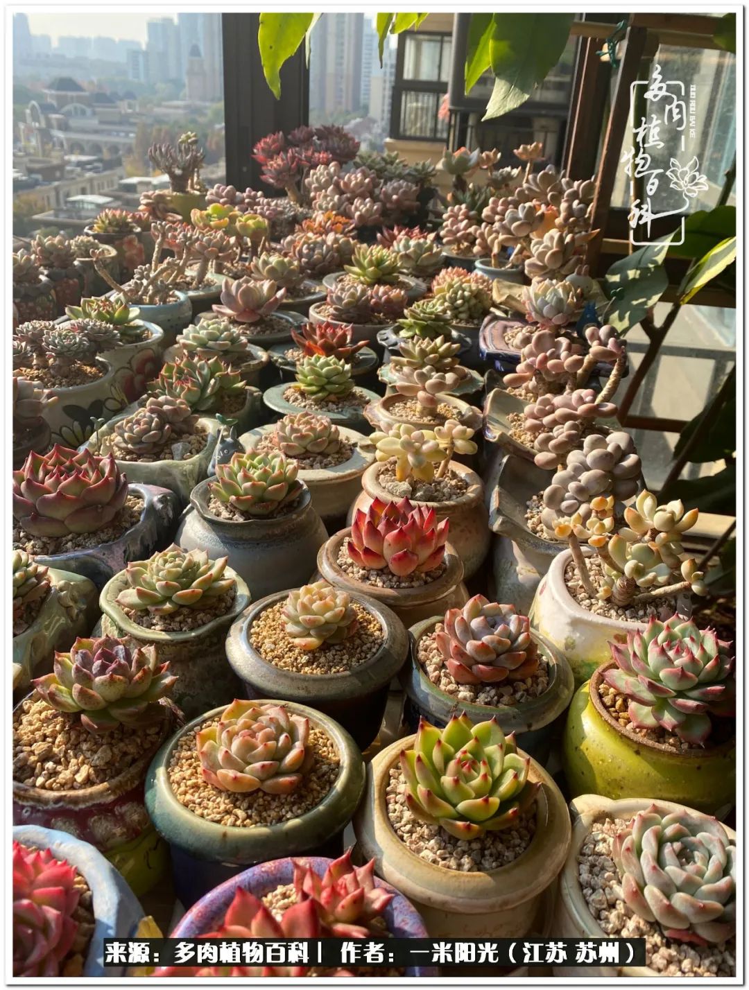 幸福就是珍惜当下所拥有的,珍惜当下所拥有的才是幸福的