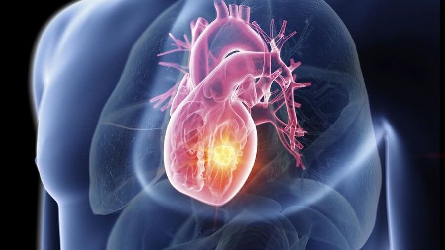 叶酸和维生素E,男性阳痿应该补充哪一种,如何补充更有效?