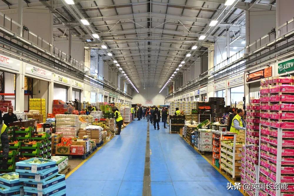 在英国怎么在网上买东西,英国海鲜刺身哪里买