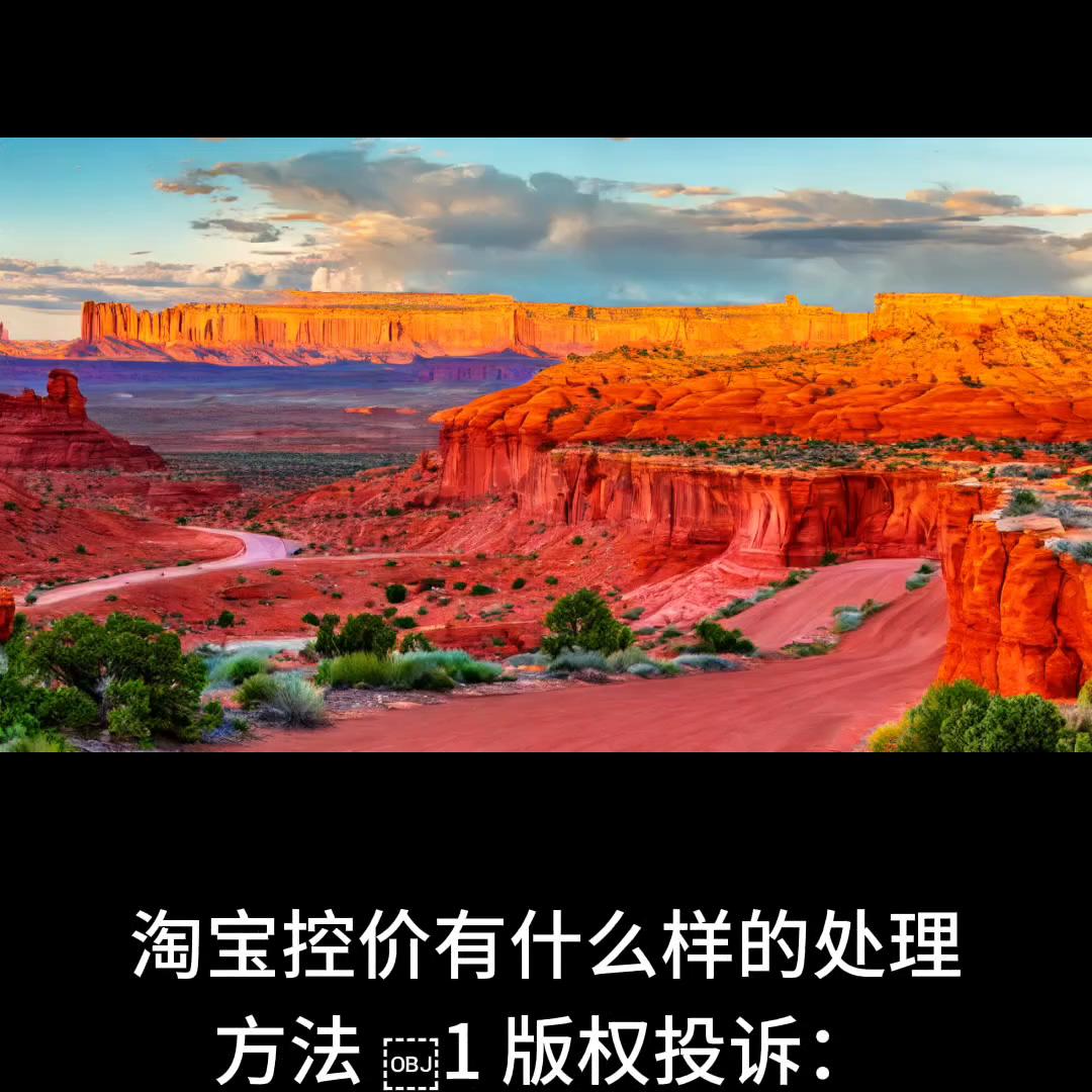 淘宝控价公司怎么收费,淘宝控价管理流程