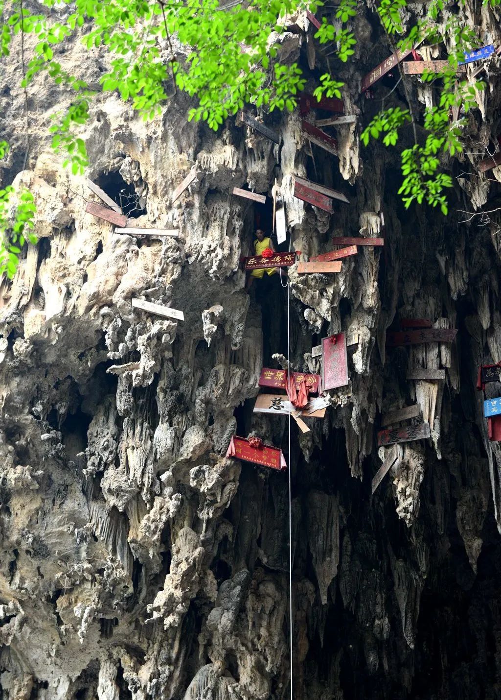 建水燕子洞免门票,建水燕子洞景区团购
