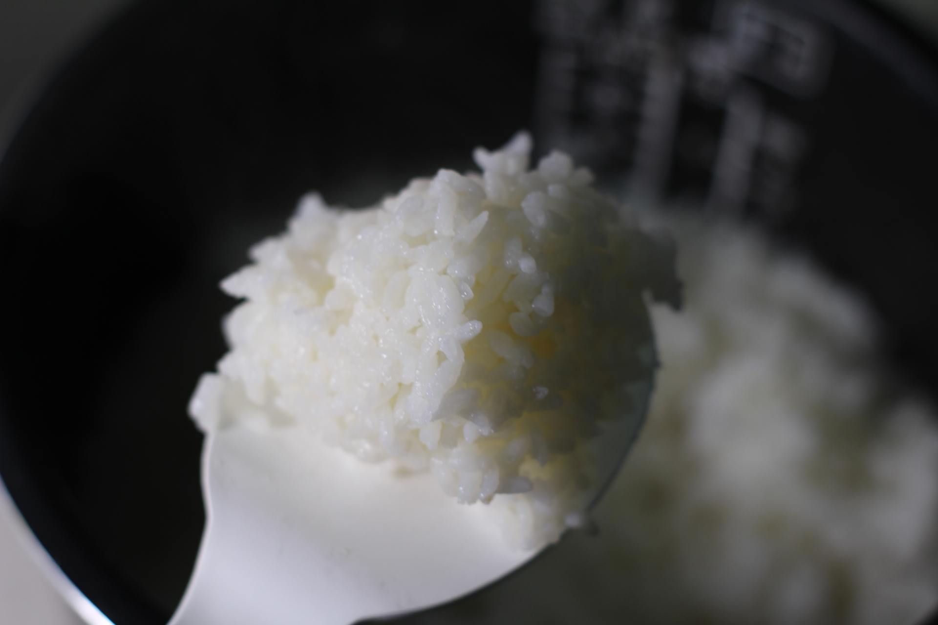 东芝rc10ht电饭煲功能介绍视频,东芝电饭煲rc-10hpc怎么样