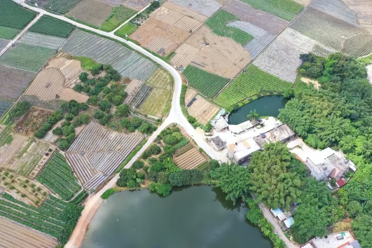 惠州仲恺高新区玳瑁村:打造养生“龟谷”,描绘美丽“潼画”