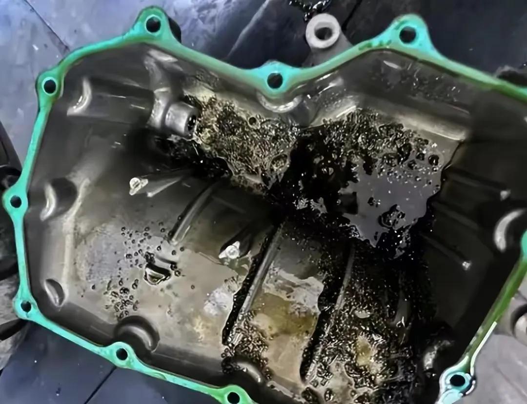 女摩友被指骗吃骗喝,女摩友回应被指骗吃骗喝