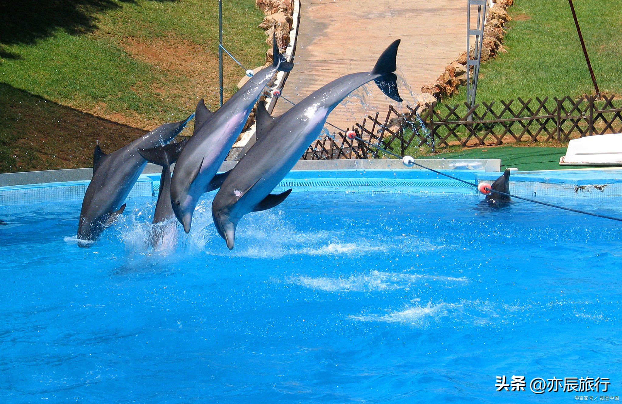 德州周边游推荐景点,德州周边的景点推荐一日游