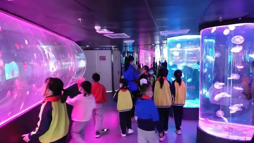 滨州海底世界5.1演出时间表,滨州海底世界39.9团购票