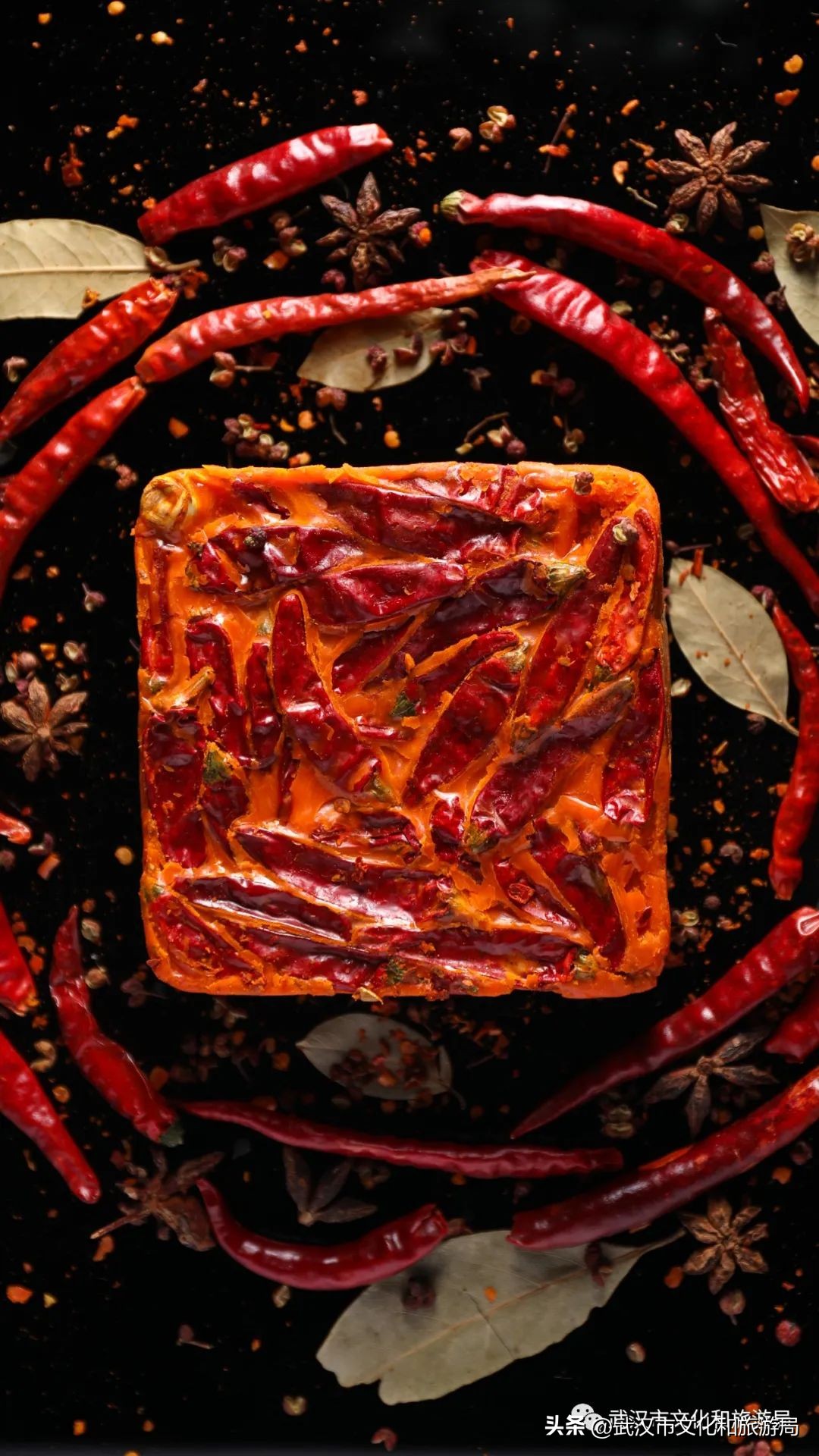 是时候重新认识一下了下一句,认识四川