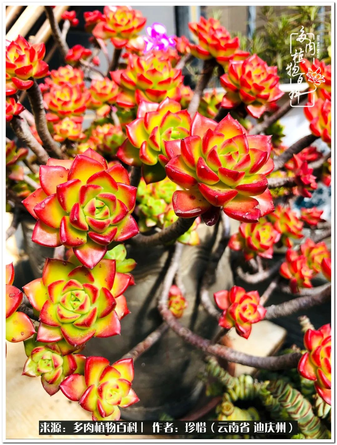 给生命一份淡然还岁月一份从容,给生命留一份洒脱的话