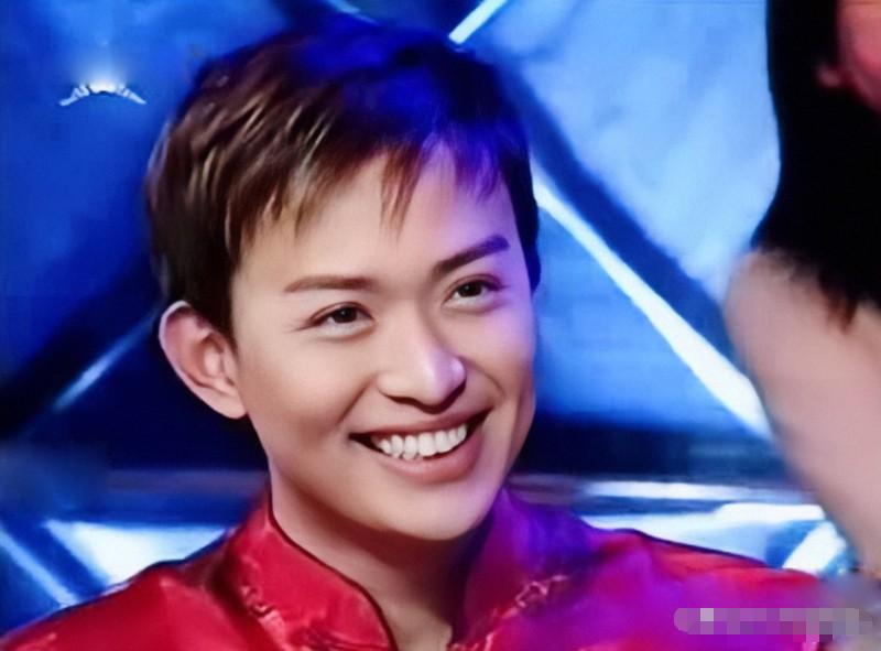 好看的桃花眼男明星,男演员的演技