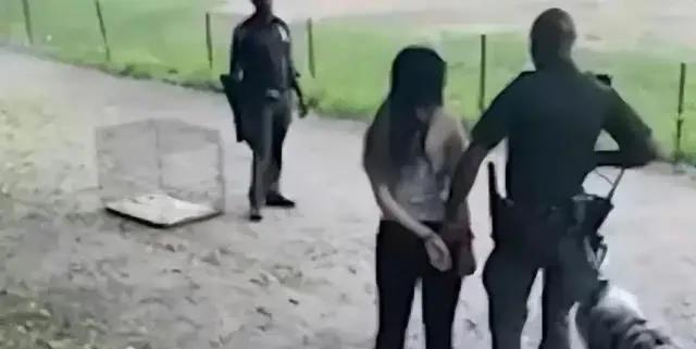 惊曝：禁忌之爱！少女与狗的*果禁**，警方震怒施重判！