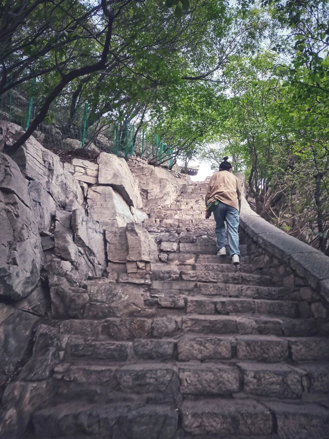 夜爬济南千佛山看日出,夜爬千佛山攻略