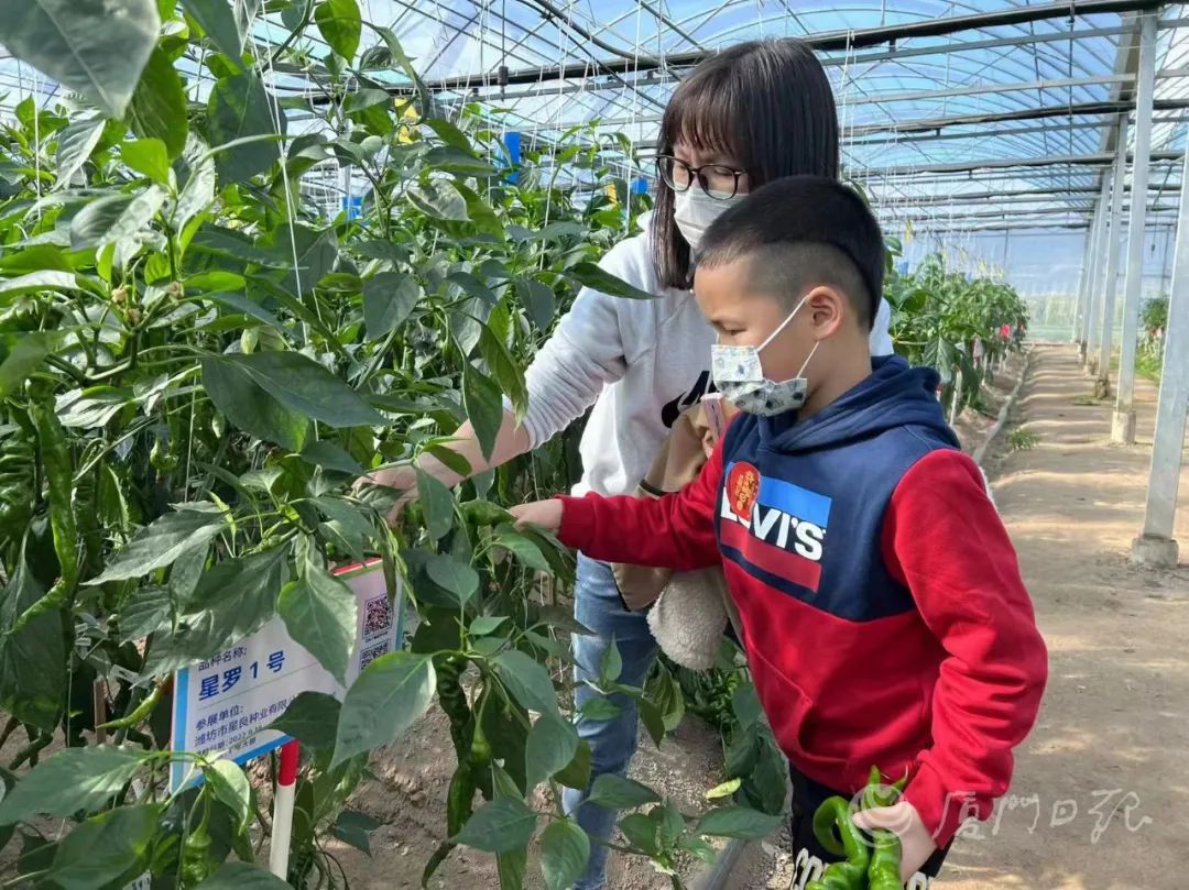 厦门春节人气,厦门过春节