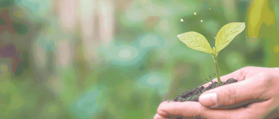 正部级央企门槛有多高,正部级央企都是哪家