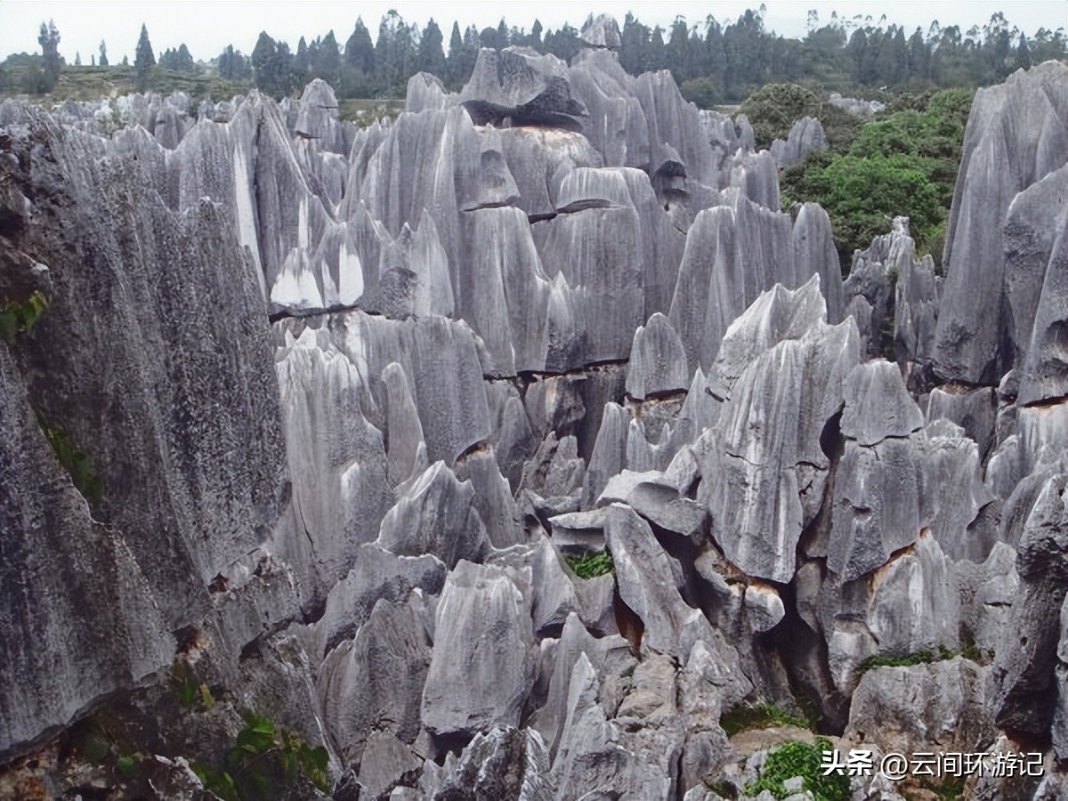 「一根风花雪月的鸡毛」（云南丨昆大丽香）