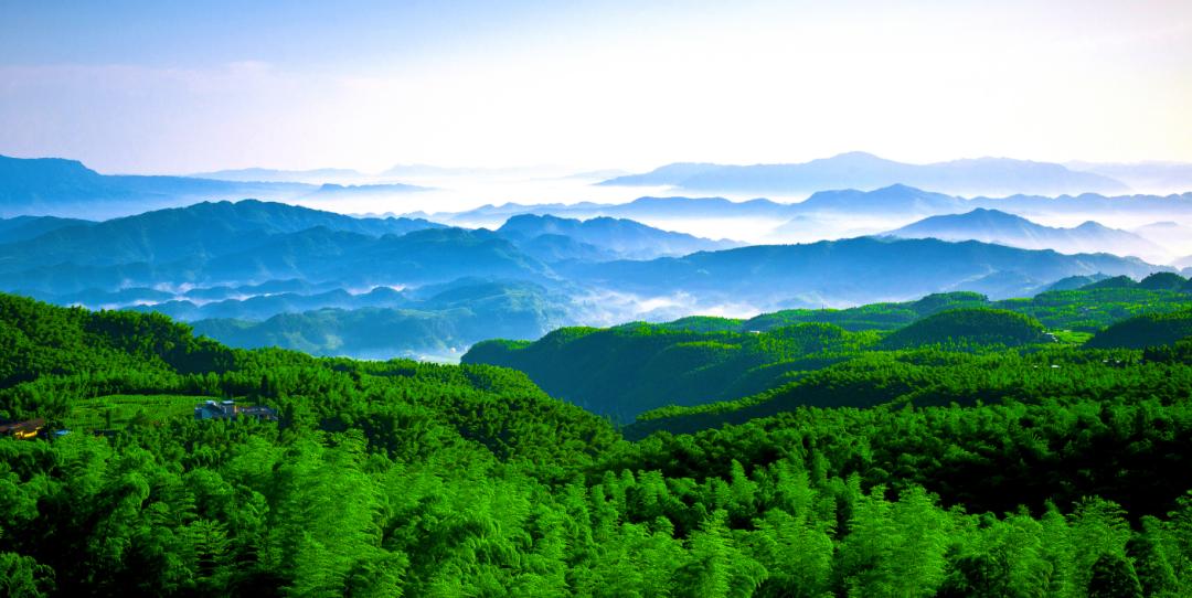 逛吃逛吃逛吃，跟着动车出发3.0