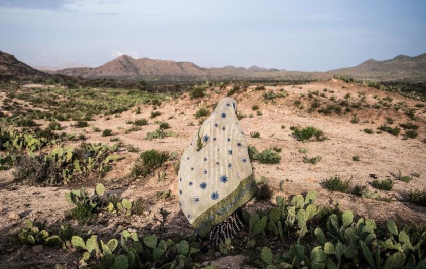 印度男子骑自行车去瑞典,印度男子跨越亚洲找爱情