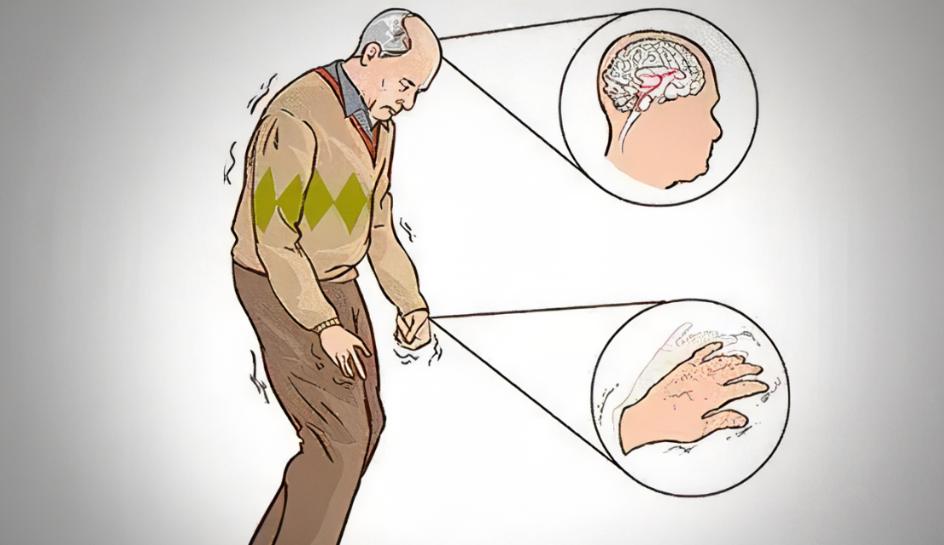 脑科学龙头企业,脑科学龙头股