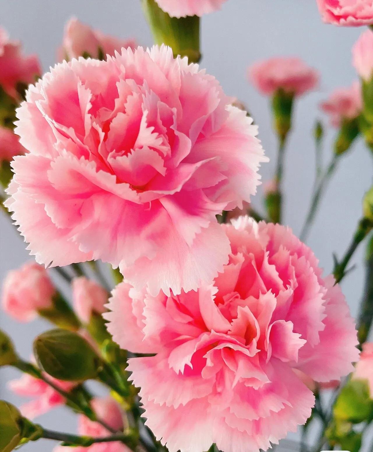 母亲节暖心文案给老婆,母亲节暖心文案