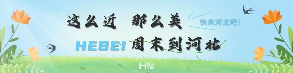 河北教育局什么时候考试,河北省教育考试院官网查询网址
