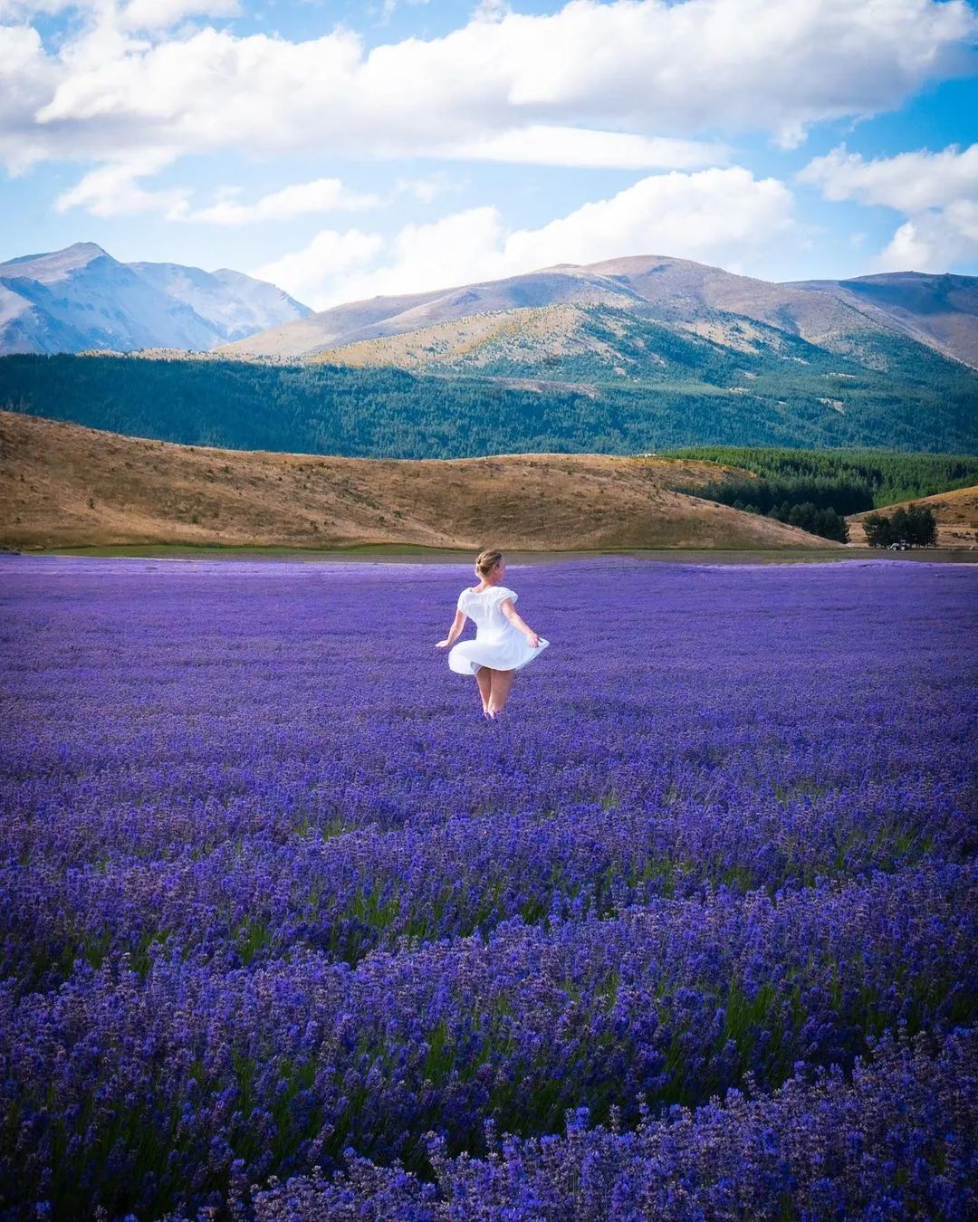 这对年轻夫妻放弃高薪，旅行2年花光存款，潇洒8年后向全网凡尔赛