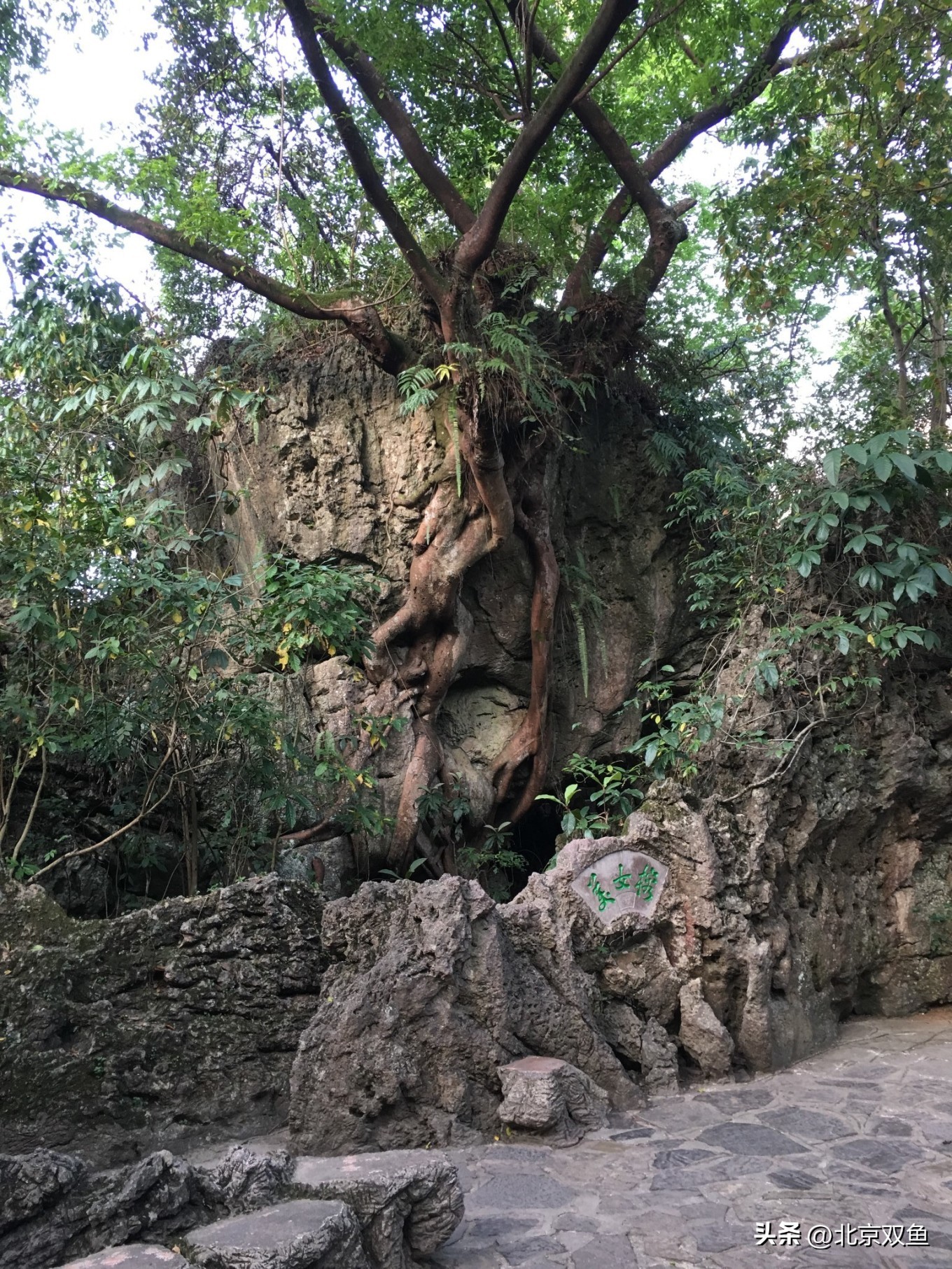 贵州黄果树最美的地方,贵州黄果树旅游攻略自由行