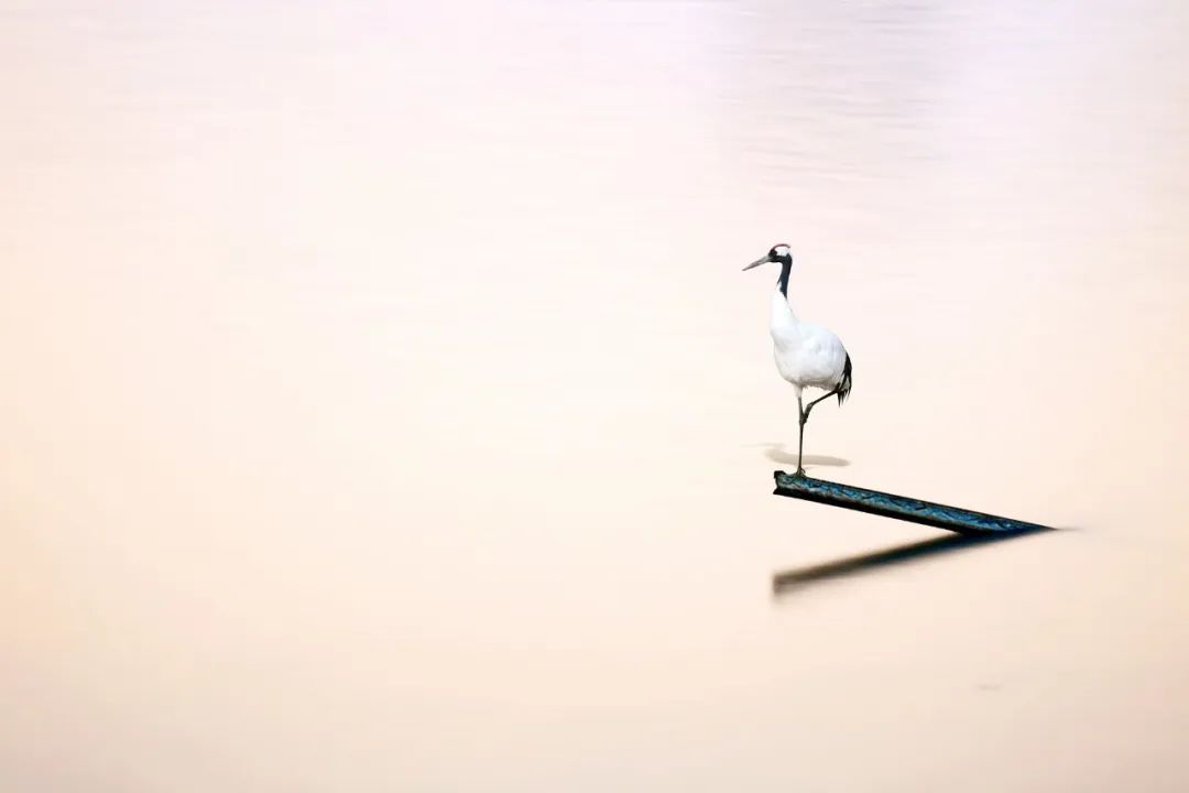 100条历史典故读懂半个中国建议收藏,100条历史典故读懂半个中国