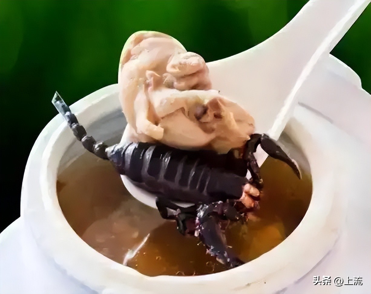 再“鳄”贯满盈的鳄鱼,也逃不出广东人的砂锅煲