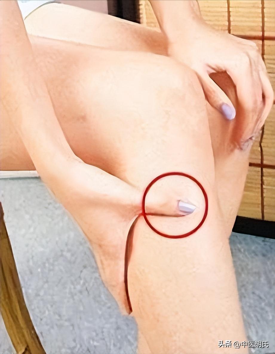 中医对提高免疫力的理解,提高免疫力中医怎么调理