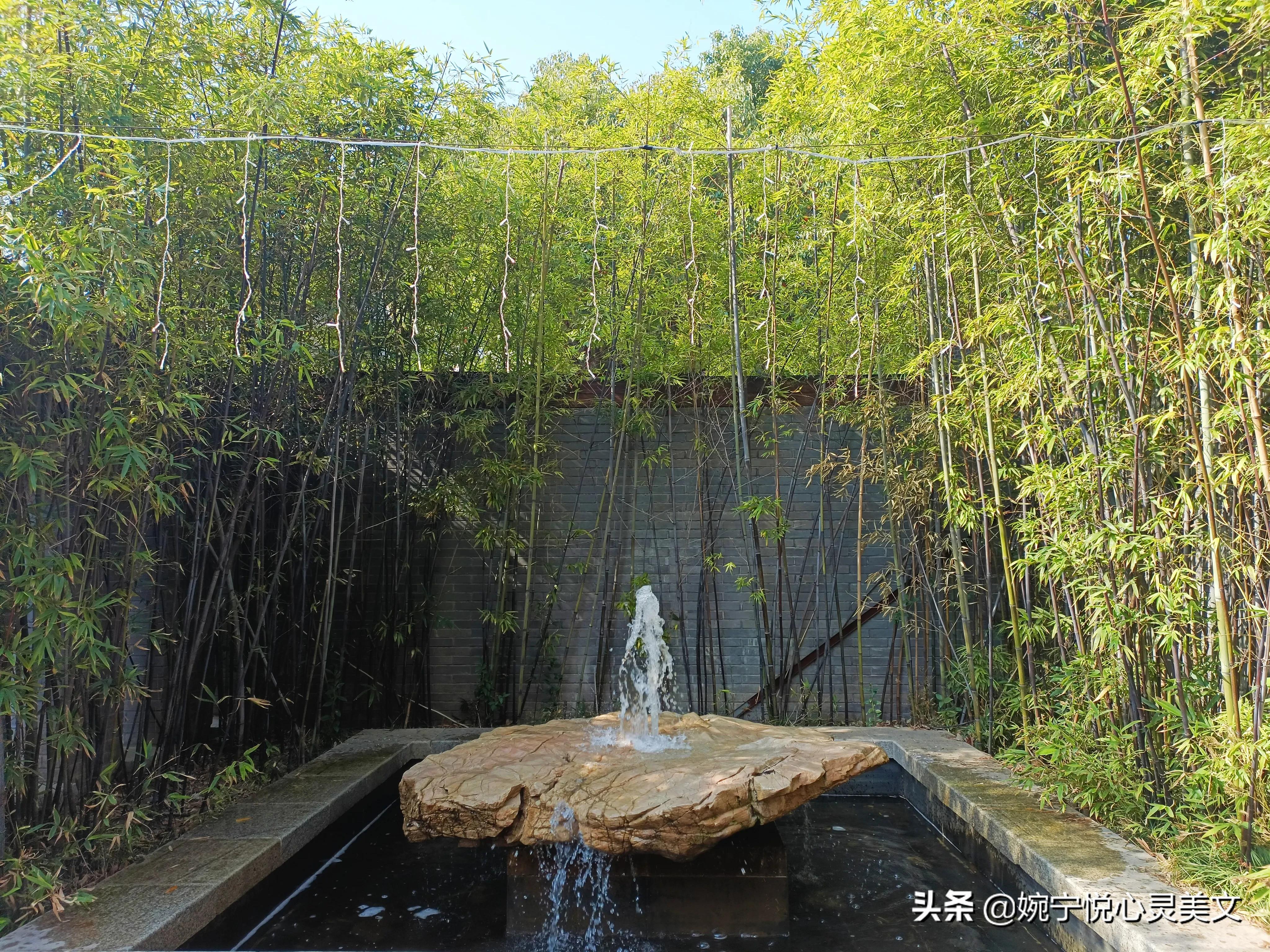 每天都要开心地过,无论怎么样都要开心的活下去