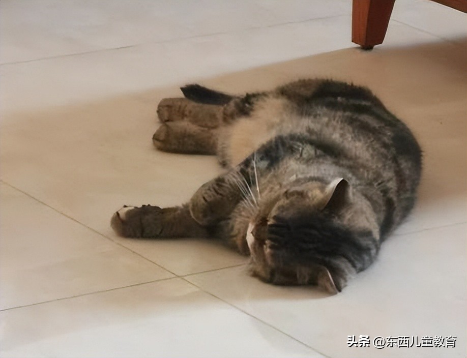 开学补奇葩作业,开学第一天奇葩作业