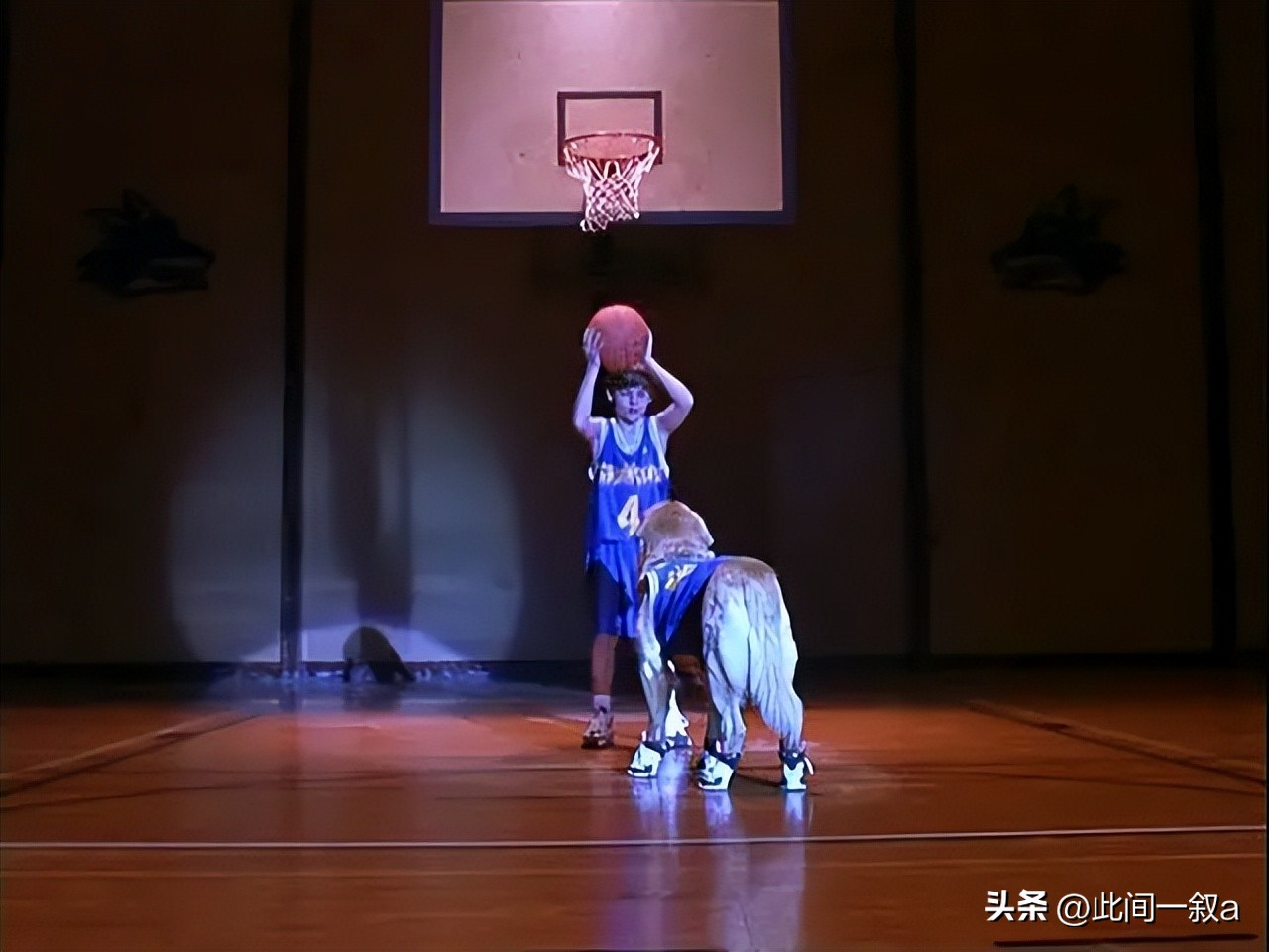 飞狗巴迪的知识,飞狗巴迪简介