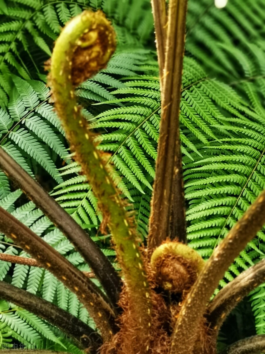 贵州旅行必去的地方排行榜,贵州旅游不能去的地方
