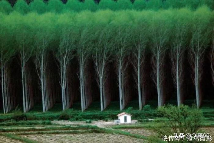 四十四个世界上最巨大的物体 (世界上最奇葩的巨型物体)