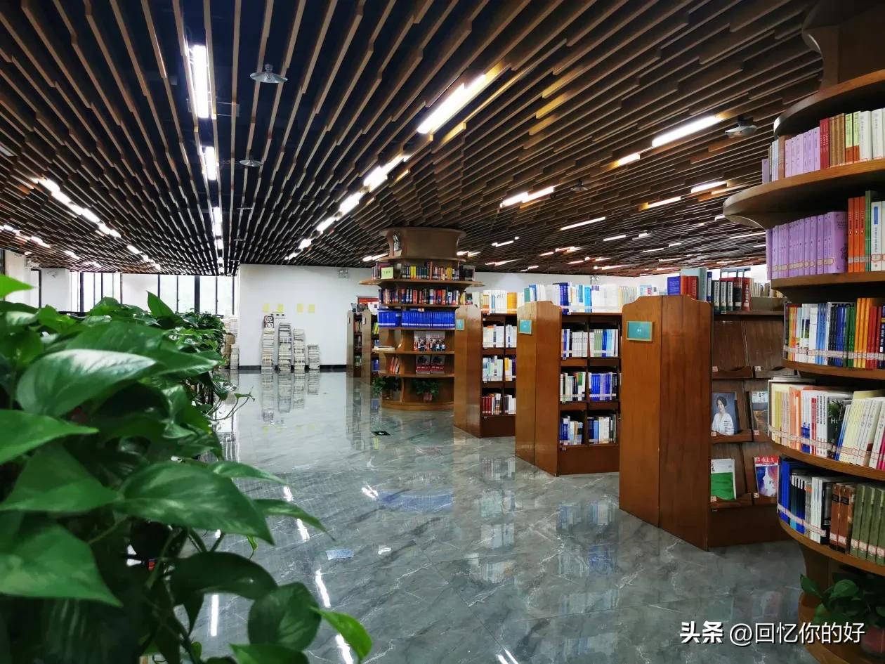 三百多分的学生适合学什么专业,三百多分能上什么外语学院