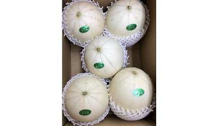 宫崎县特色,宫崎县土特产