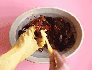 小龙虾头怎么吃,小龙虾什么部位不能吃
