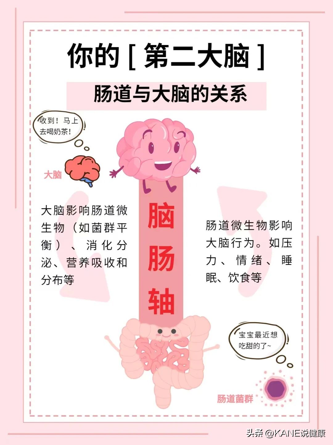 为什么每个人都要去做肠道菌群检测？