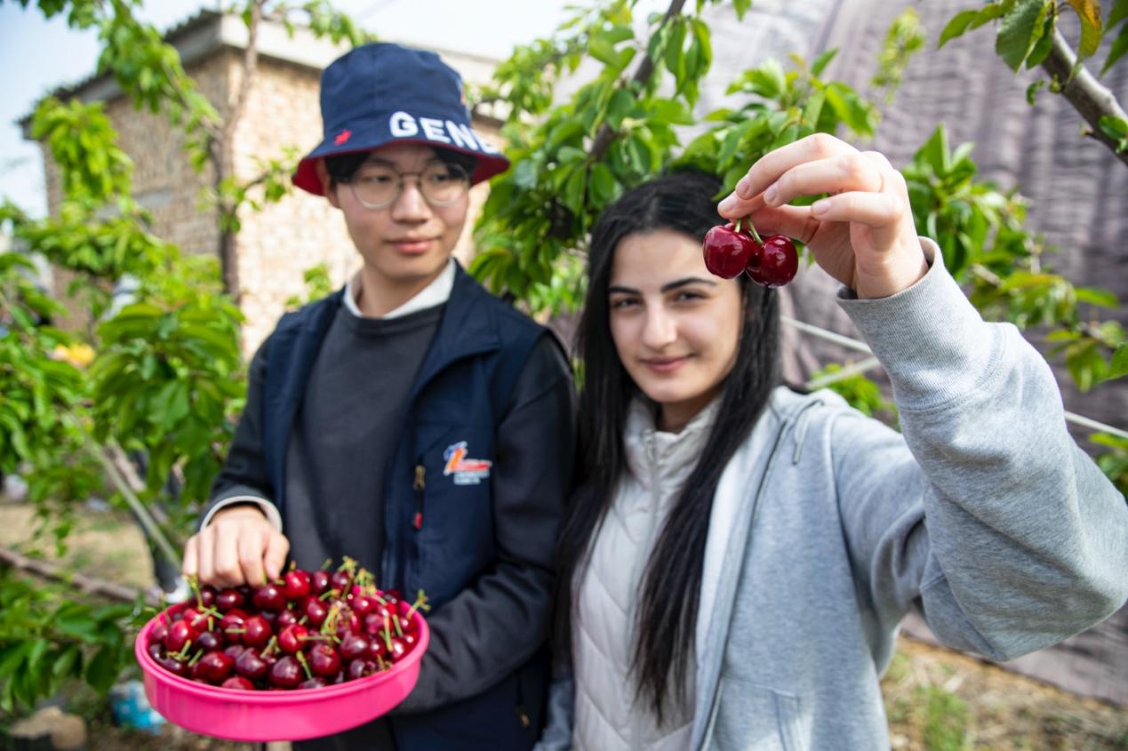 【老外在陕西】以丝路之名“Z世代”海内外青年“育”见华彩渭南
