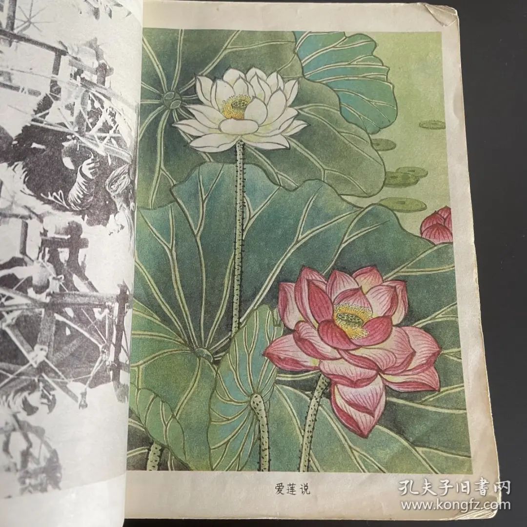 80年代教材才是经典,老教材童年回忆