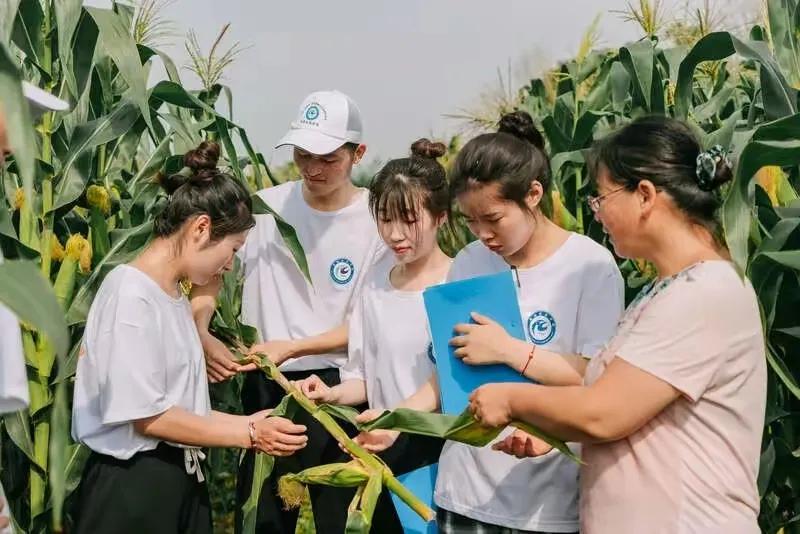 高考成绩可报提前批学校吗,高考成绩400以下可以报提前批嘛