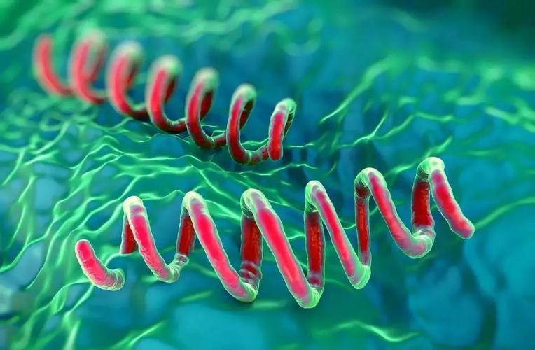 7种疾病会传播,可以通过性传播的疾病有哪些