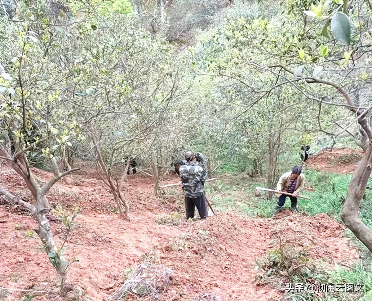 报木村,湖南会同县蒲稳乡报木村