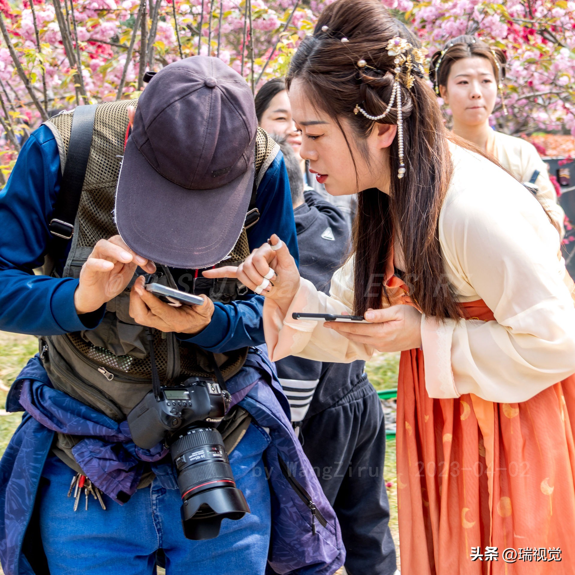 2018鹤壁樱花节几月几日结束,鹤壁市樱花节的樱花