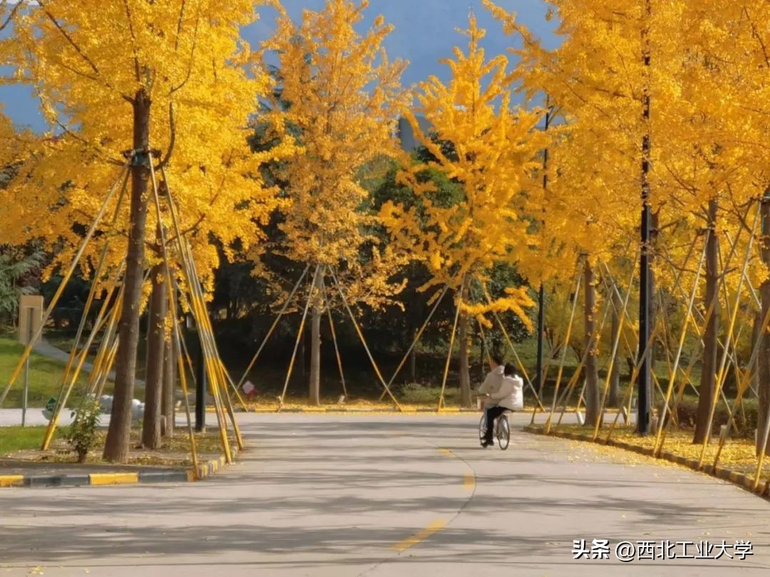 今日雨水!工大四季高清美图，欢迎欣赏使用~