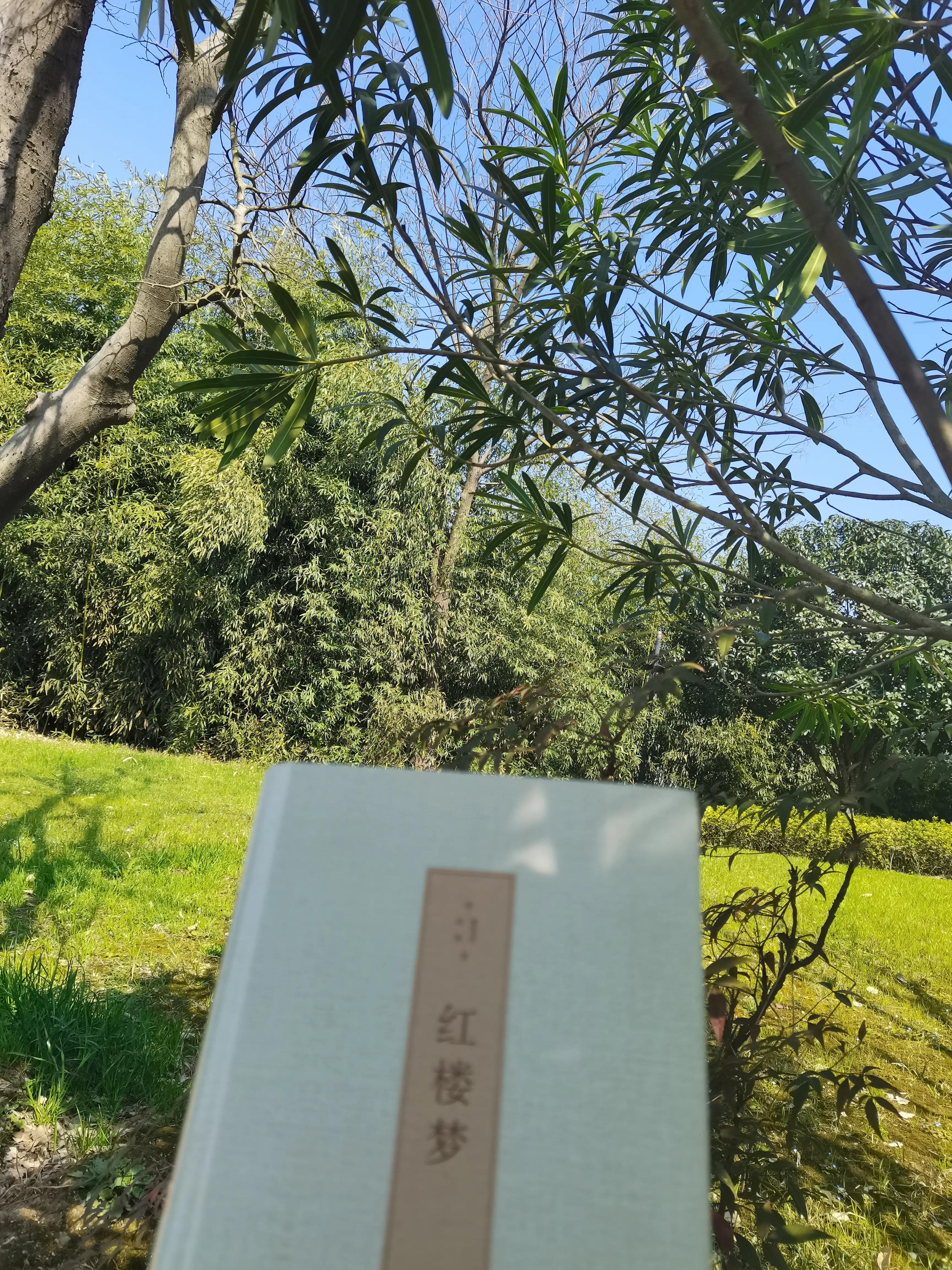 野生动物闯入军事禁区,闯入巴黎地下墓穴禁区