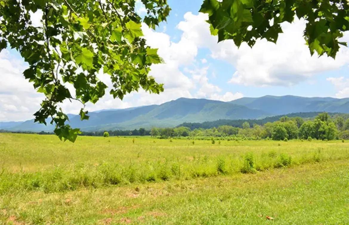 心理学物以类聚人以群分,心理学知识分享的图片