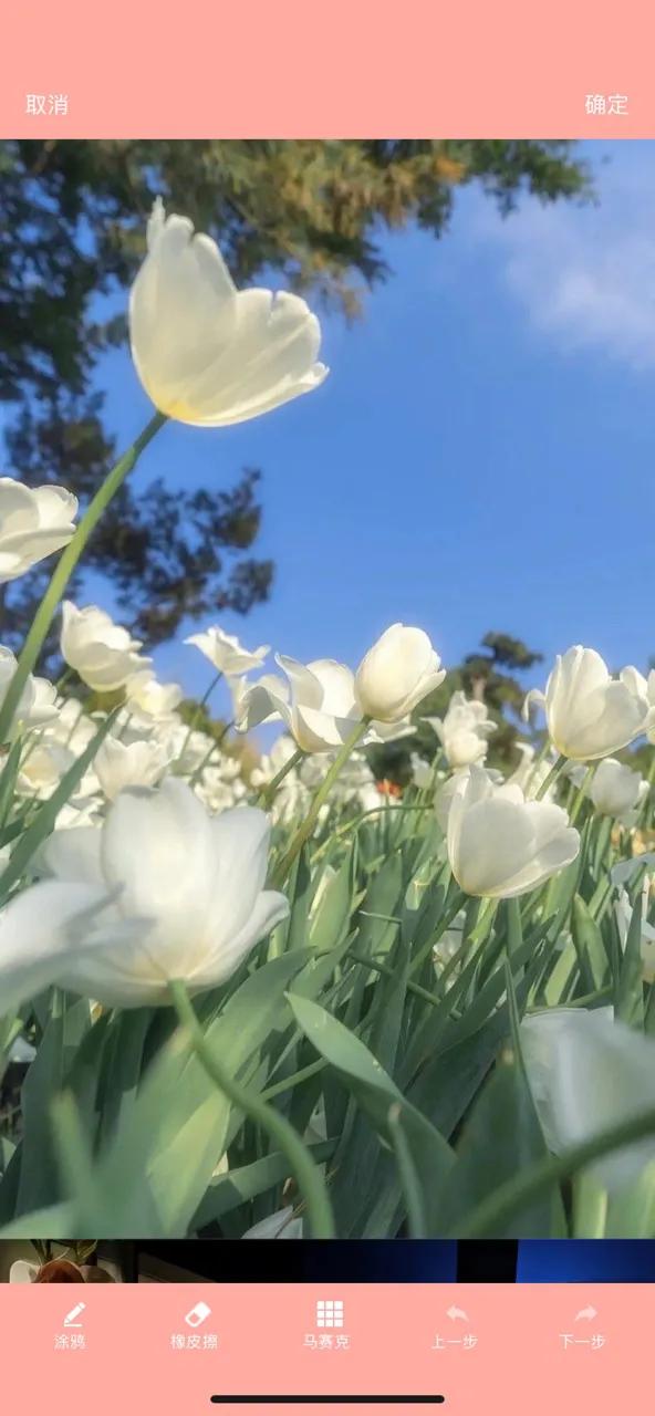 图片怎么拼接成长图发朋友圈隐藏,超过十张图拼接成长图怎么弄